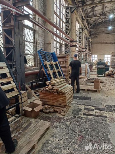 Поддоны