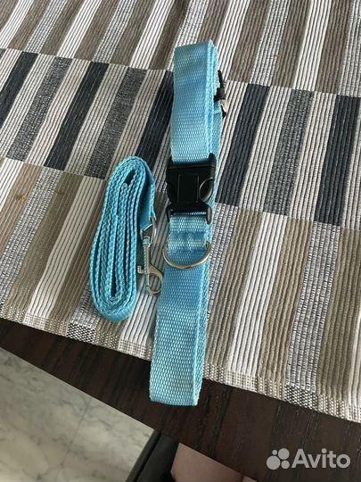 Ошейник для собак и поводок