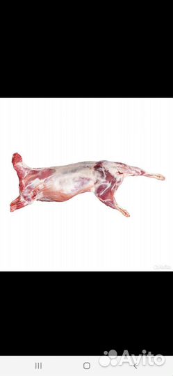 Мясо Баранина