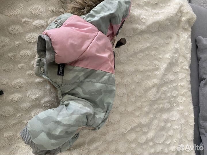 Зимний комбинезон доя маленьких собачек