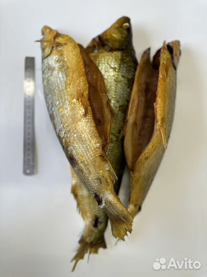 Сиг холодного копчения