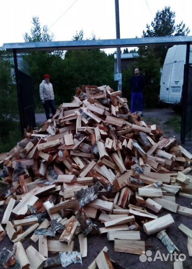 Дрова Осина навалом