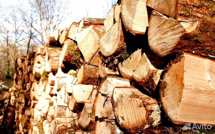 Дрова премиальные