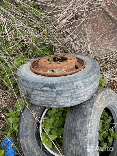 Comforser Thruster 205/65 R17C