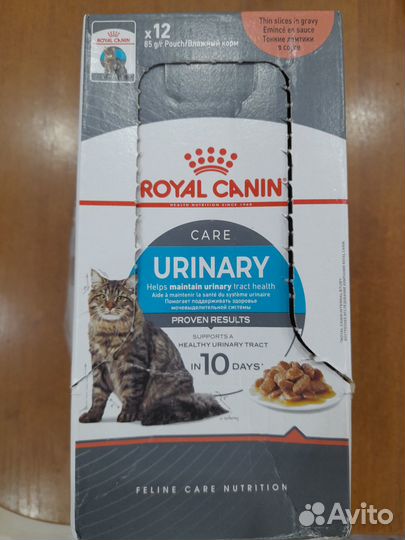 Влажный корм для кошек royal canin