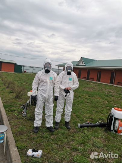 Обработка от комаров клещей короеда пауков кротов