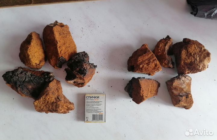 Чага берёзовая, кусковая