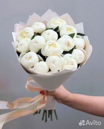 Пионы Букеты Цветы Доставка