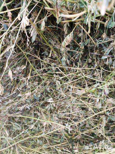 Люцерна в рулонах