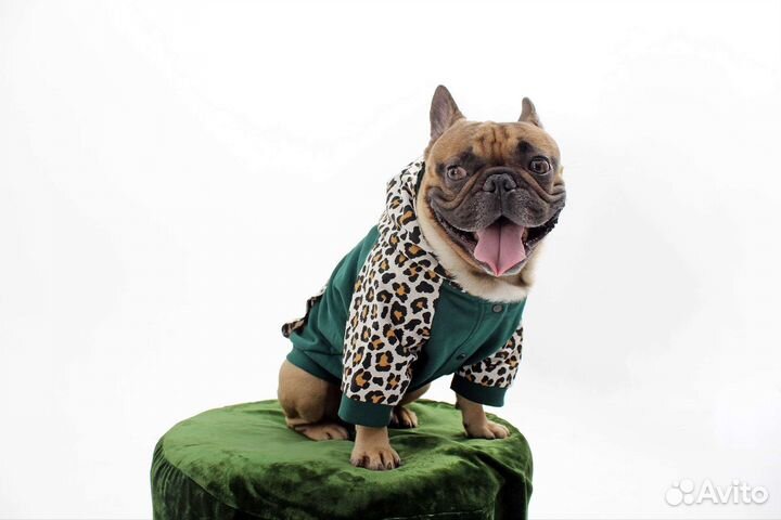 Толстовка для собак