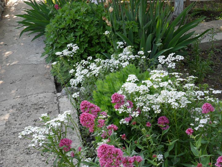 Дом 85 м² на участке 10 сот.