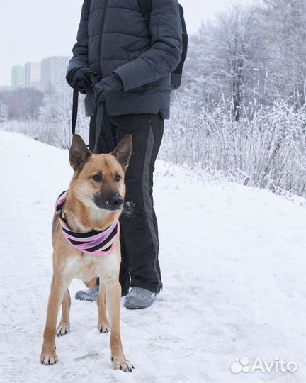 Ждёт вечность