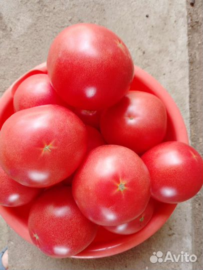 Домашние овощи, ягоды