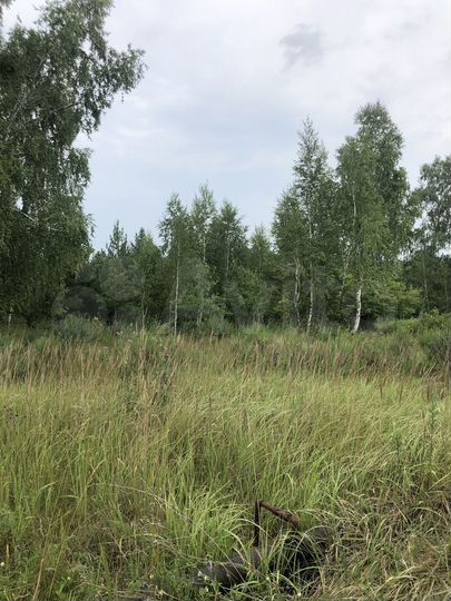 Участок 6 сот. (СНТ, ДНП)