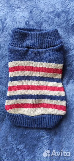 Вещи для маленьких собак