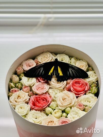 Коробки с цветами и живыми бабочками