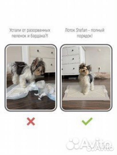 Лоток туалет для собак