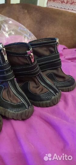 Ботинки для крупной собаки