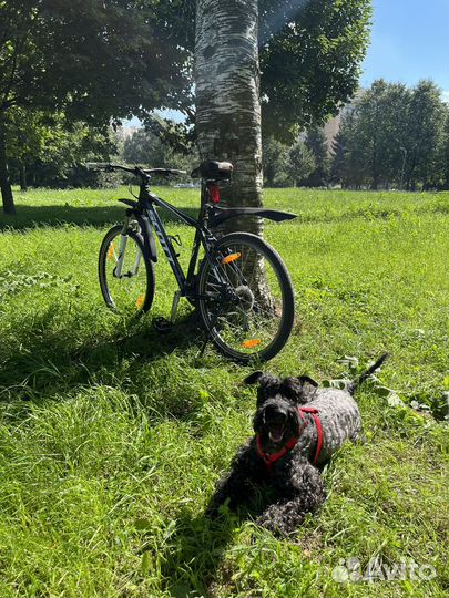 Scott aspect 60 (2014)