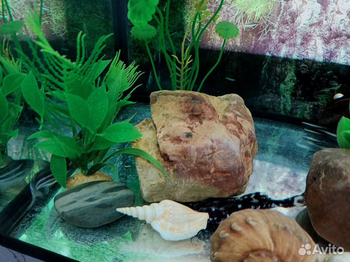 Камни в аквариум/террариум