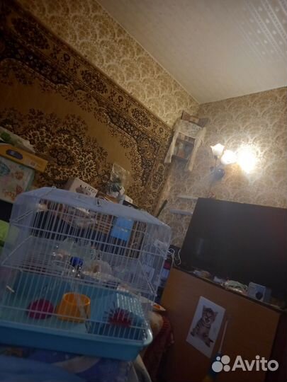 Клетка для грызунов Хомяков и крыс