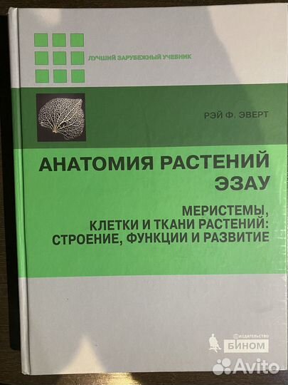 Рэй Эверт: Анатомия растений Эзау