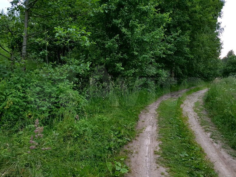 Участок 20 сот. (ИЖС)