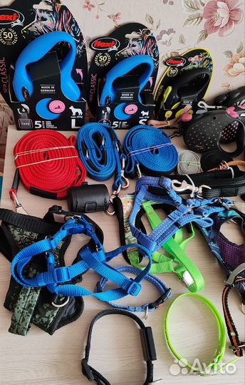 Поводок для собак