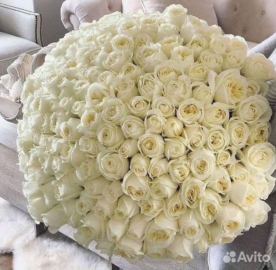 101 Роза Цветы Букеты 51 25 Роз Доставка