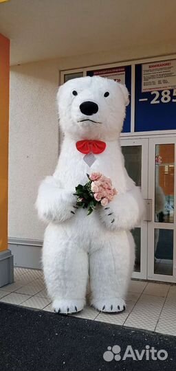 Аренда надувного костюма