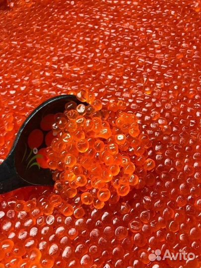 Красная икра горбуши 2023