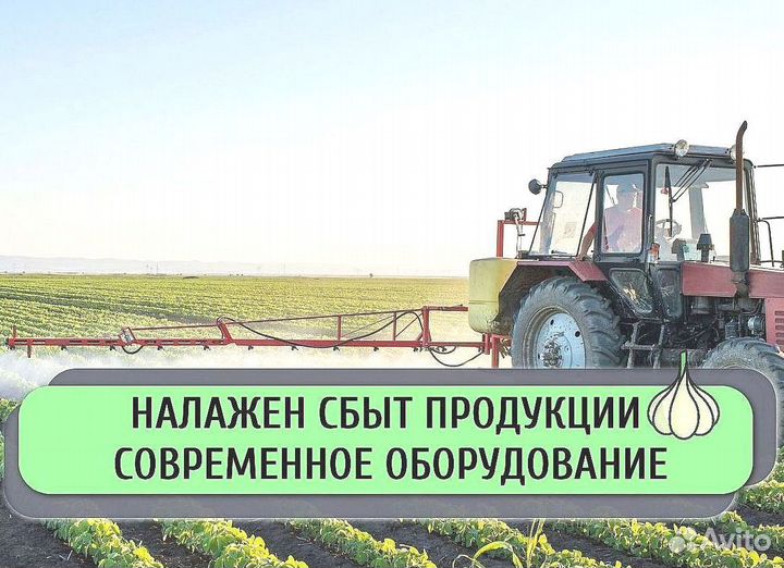 Инвестиции в сельское хозяйство, пассивный доход