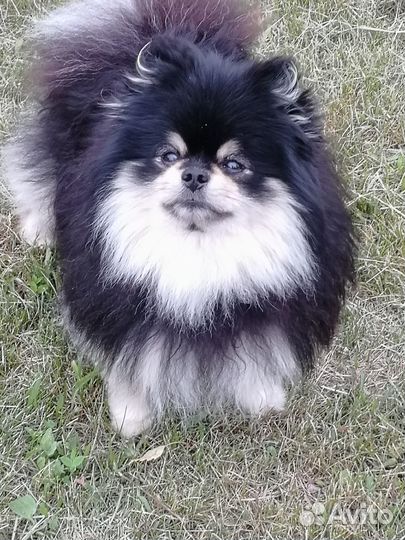 Красивый мальчик