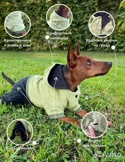 Комбинезон для собак