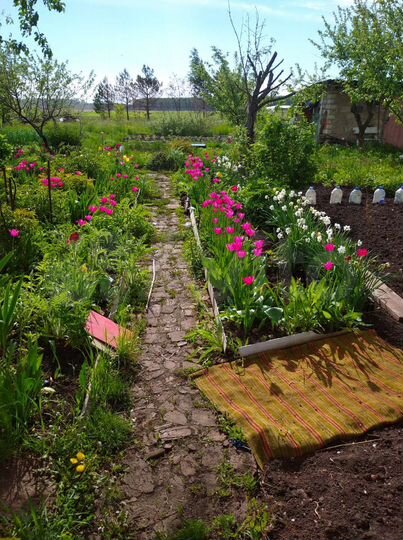 Дом 50 м² на участке 10 сот.