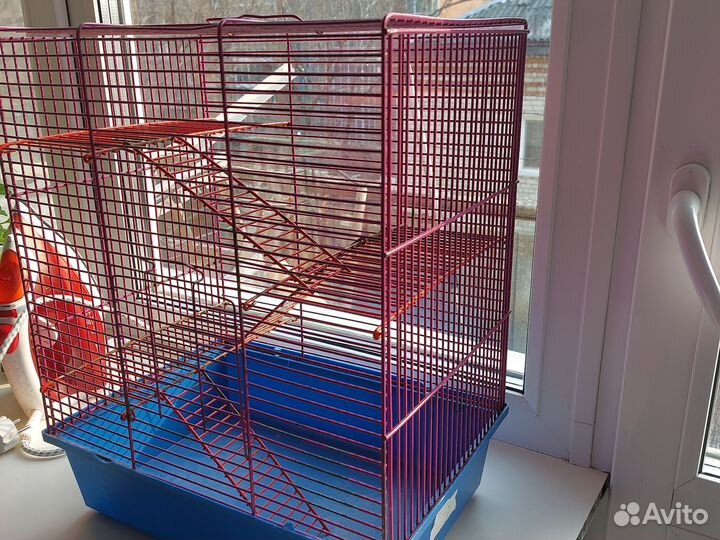 Клетка для грызунов бу