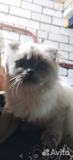 Мой мальчик потерялся