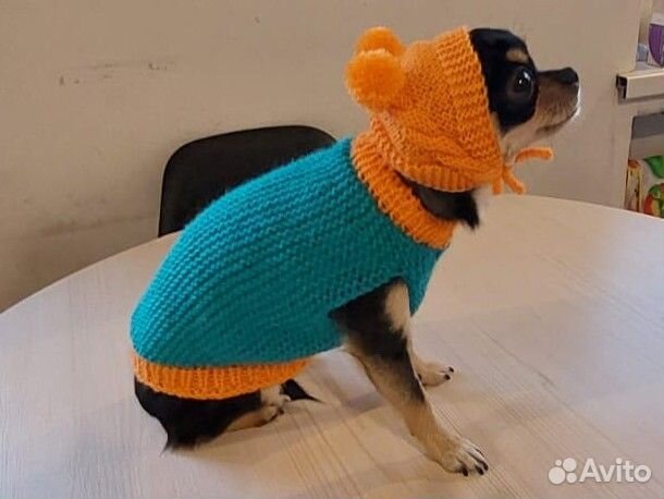 Одежда для маленьких собак