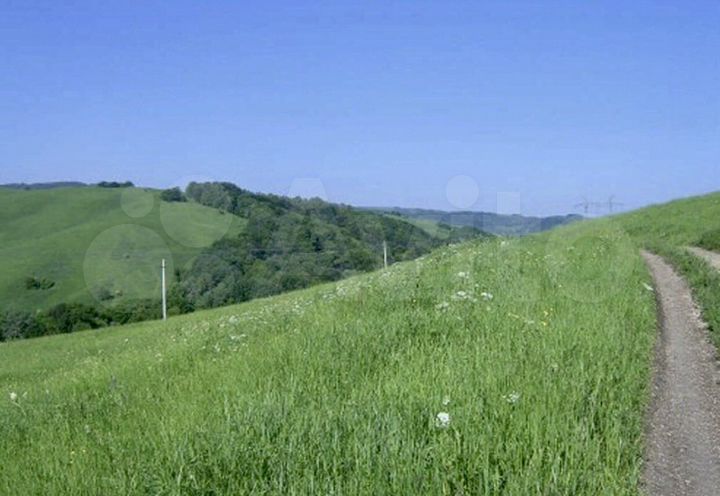 Участок 3,7 га (СНТ, ДНП)