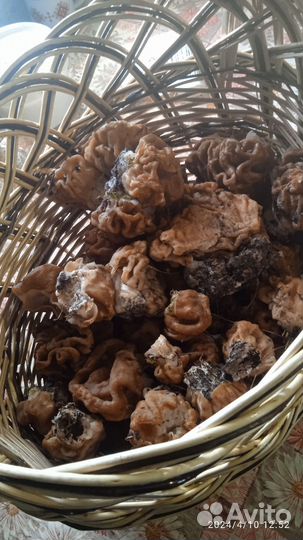 Свежие грибы