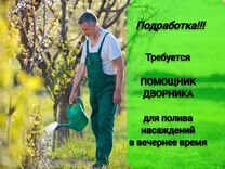 Помощник дворника. Подработка