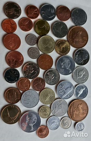 Птицы, монеты