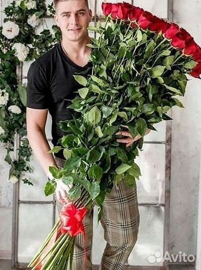 Высокие розы