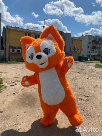 Аниматоры Мишка и Зайка на праздник, поздравление