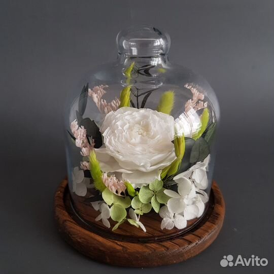 Композиция в клоше