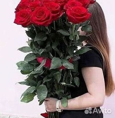 Высокие розы Гигантские розы Доставка цветов
