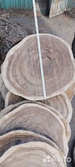 Спилы поперечные