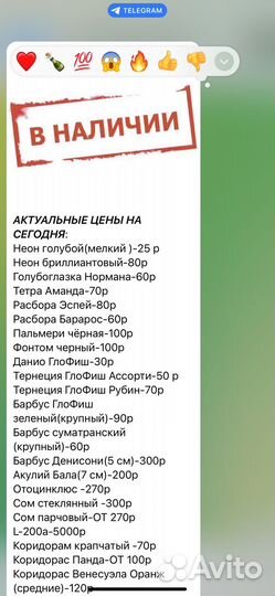 Аквариумные рыбки и не только