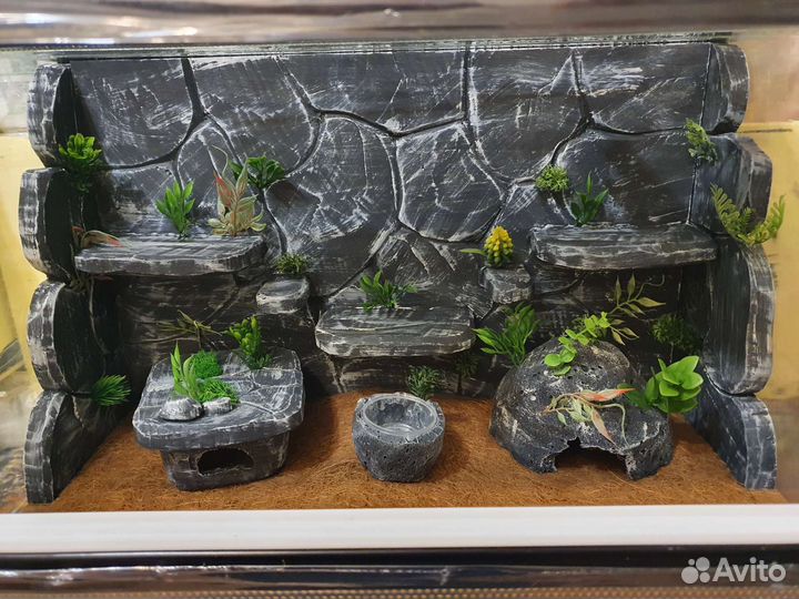 Новые террариумы для рептилий 