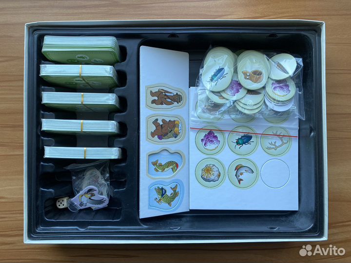 Настольная игра «Приключения вдоль Зелёного пояса»